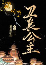 卫长公主封地