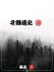 北魏概况
