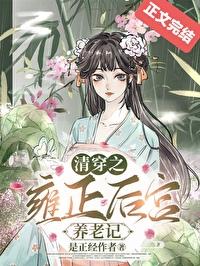 清穿之雍正后妃