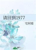 请回到1988免费观看