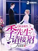 天价娇妻季先生宠上隐