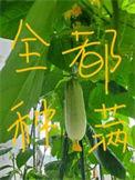 整个修真界都把我当团