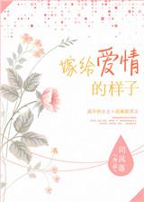嫁给爱情的样子沈棉