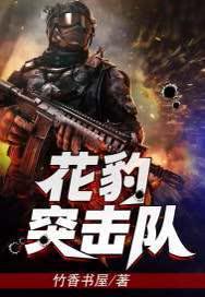 花豹突击队全本txt